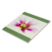 Rosa Feather Blume Tile Fliese (Seite)