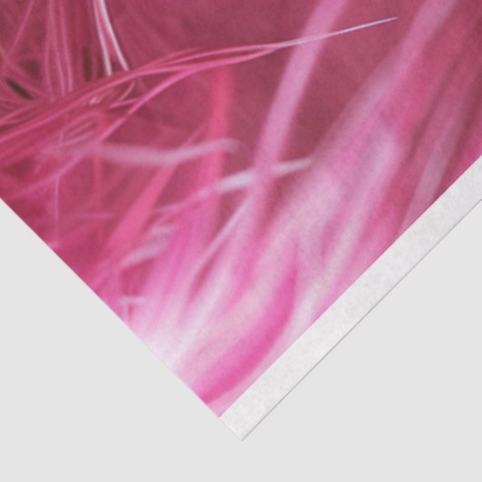 Rosa Feather Glamour Decoupage Seidenpapier (Ausschnitt)