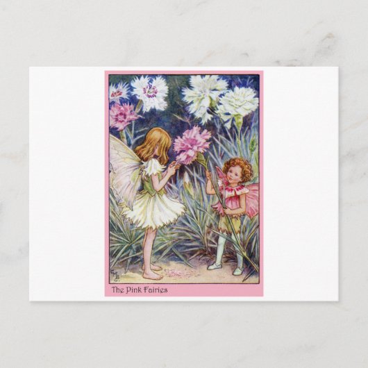 Rosa Fee Postkarte (Vorderseite)