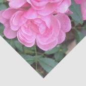 Rosa feenhafte Rosen Seidenpapier (Ausschnitt)