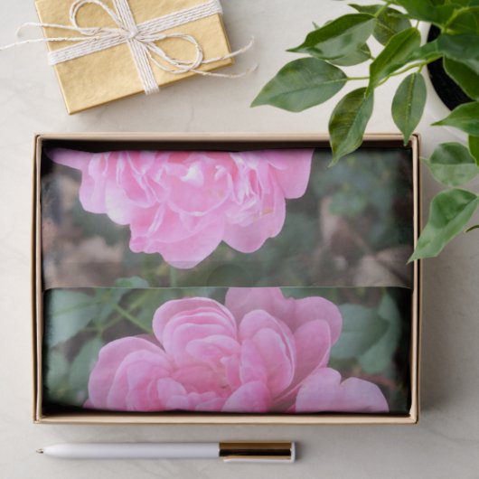 Rosa feenhafte Rosen Seidenpapier (Geschenk)