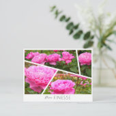 Rosa Finesse Postkarte (Stehend Vorderseite)