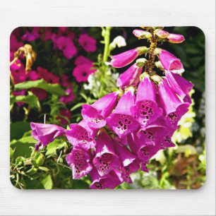 Rosa Fingerhutblüten Mousepad
