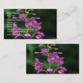 Rosa Fireweed-Blumen Visitenkarte (Vorne/Hinten)
