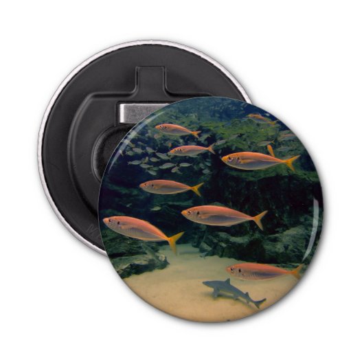 Rosa Fischschale Flaschenöffner (Vorderseite)