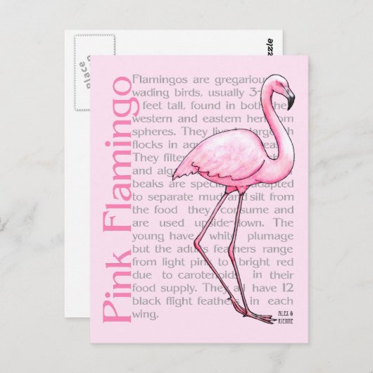Rosa Flamingo auf Text Postkarte (Vorne/Hinten)