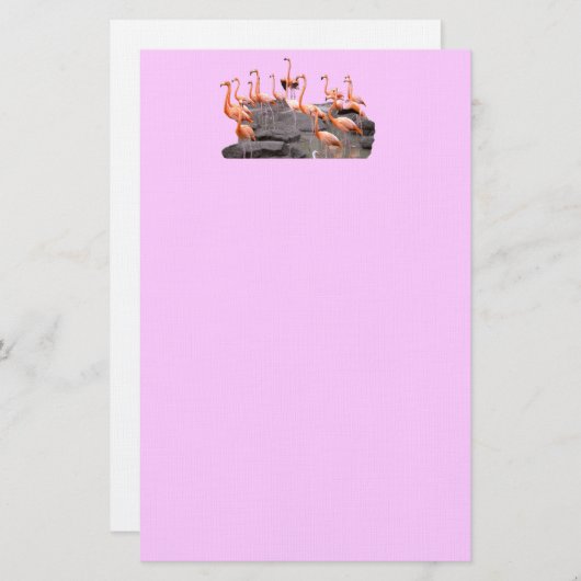 Rosa Flamingo-Briefpapier Briefpapier (Vorne/Hinten)