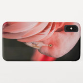 Rosa Flamingo Case-Mate iPhone Hülle (Rückseite (Horizontal))