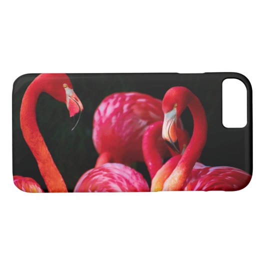 Rosa Flamingo Case-Mate iPhone Hülle (Rückseite (Horizontal))