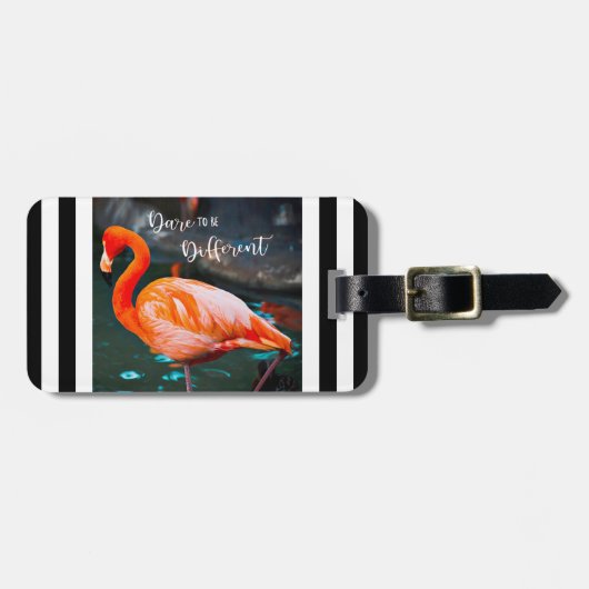 Rosa Flamingo Dare sein anderen Schwarz-weißen Str Gepäckanhänger (Vorderseite horizontal)