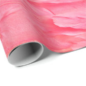 Rosa Flamingo Feathersflamingo, Feder, Rosa, Textu Geschenkpapier (Rolleneckpunkt)
