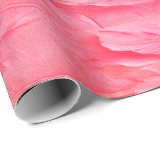 Rosa Flamingo Feathersflamingo, Feder, Rosa, Textu Geschenkpapier (Rolleneckpunkt)