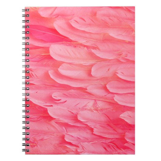 Rosa Flamingo Feathersflamingo, Feder, Rosa, Textu Notizblock (Vorderseite)