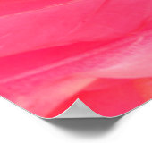 Rosa Flamingo Feathersflamingo, Feder, Rosa, Textu Poster (Ecke)