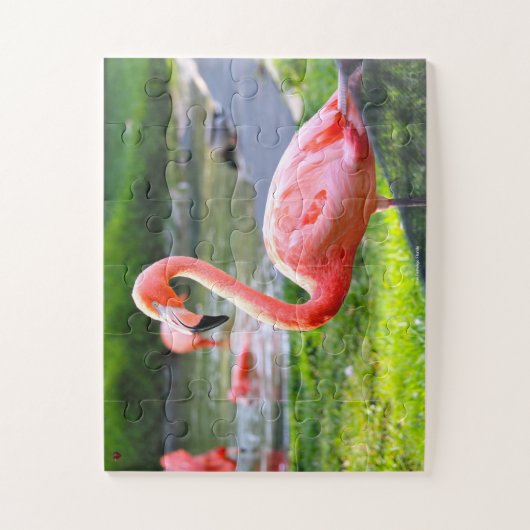 Rosa Flamingo Florida. Jigsaw Puzzle (Vertikal)