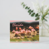 Rosa Flamingo Florida Postkarte (Stehend Vorderseite)