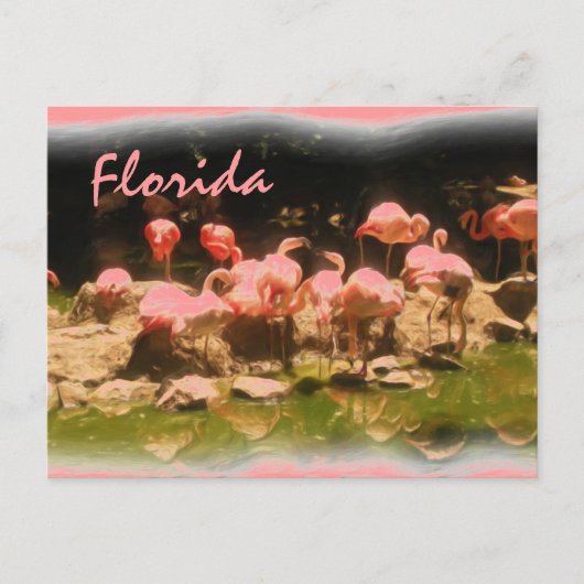 Rosa Flamingo Florida Postkarte (Vorderseite)