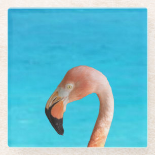 Rosa Flamingo-Gesicht gegen blaues Wasser auf eine Glasuntersetzer