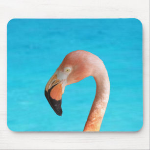 Rosa Flamingo-Gesicht gegen blaues Wasser auf eine Mousepad
