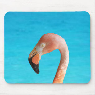 Rosa Flamingo-Gesicht gegen blaues Wasser auf eine Mousepad