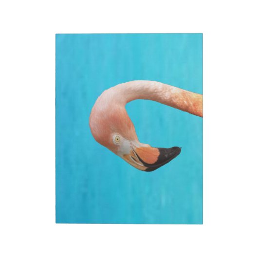Rosa Flamingo-Gesicht gegen blaues Wasser auf eine Notizblock (Rotiert)