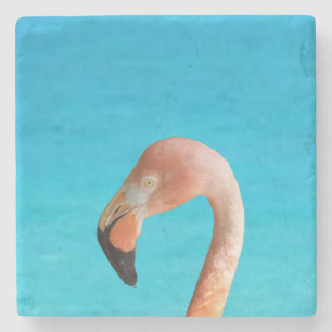 Rosa Flamingo-Gesicht gegen blaues Wasser auf eine Steinuntersetzer