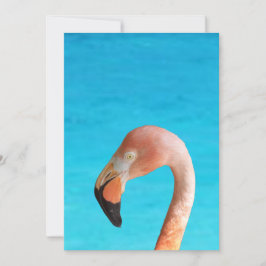 Rosa Flamingo-Gesicht gegen blaues Wasser auf Einladung