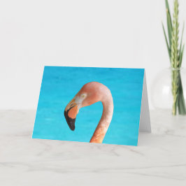 Rosa Flamingo-Gesicht gegen blaues Wasser auf Karte