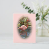 Rosa Flamingo im Fluss Postcard Postkarte (Stehend Vorderseite)