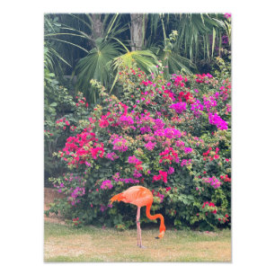 Rosa Flamingo im tropischen Blattwerk Fotodruck