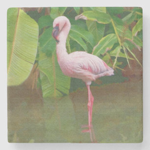 Rosa Flamingo in dem See in Florida Steinuntersetzer