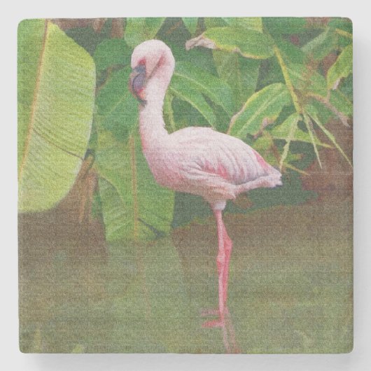Rosa Flamingo in dem See in Florida Steinuntersetzer (Vorderseite)