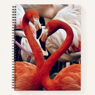 Rosa Flamingo in der Natur Notizblock