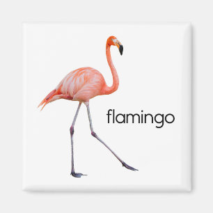 Rosa Flamingo Magnet