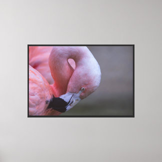 Rosa Flamingo-Porträt auf Stretchleinwand Leinwanddruck