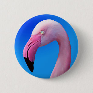 Rosa Flamingo-Porträt-Nahaufnahme-Knöpfe Button