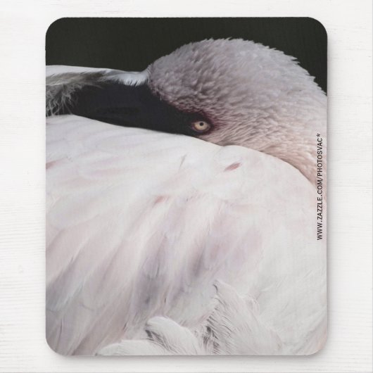 Rosa Flamingo-Porträt-Zeichnungseffekt-Kunst Mousepad (Vorne)