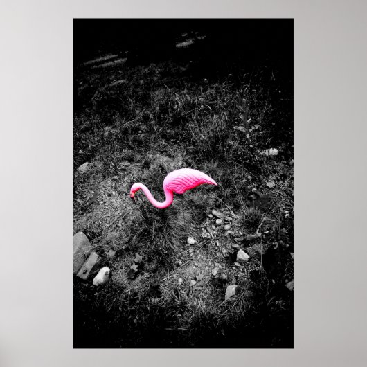 Rosa Flamingo Poster (Vorne)