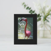 Rosa Flamingo Postkarte (Stehend Vorderseite)