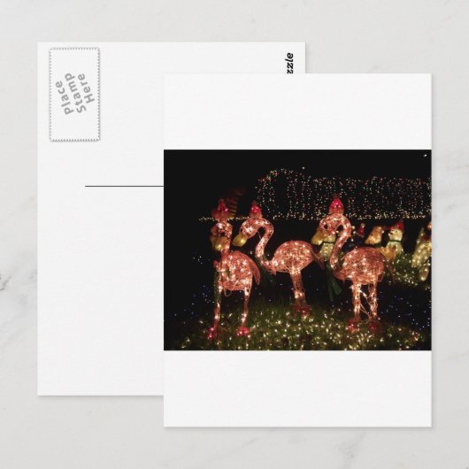 Rosa Flamingo Postkarte (Vorne/Hinten)