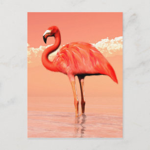 Rosa Flamingo Postkarte