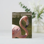 Rosa Flamingo Postkarte (Stehend Vorderseite)