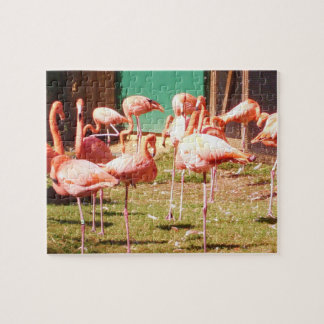Rosa Flamingo-Puzzlespiel Puzzle