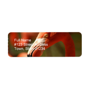 Rosa Flamingo-Rücksendeadresse-Aufkleber