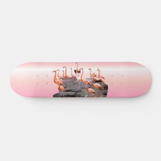 Rosa Flamingo Skateboard (Horizontal)