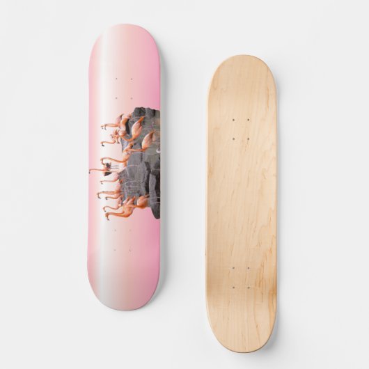Rosa Flamingo Skateboard (Vorderseite)