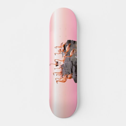 Rosa Flamingo Skateboard (Vorne)