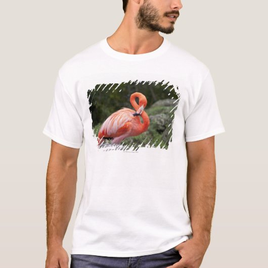 Rosa Flamingo T-Shirt (Vorderseite)