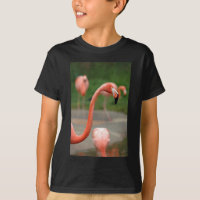 Rosa Flamingo