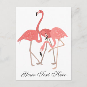Rosa Flamingo-Trio Postkarte